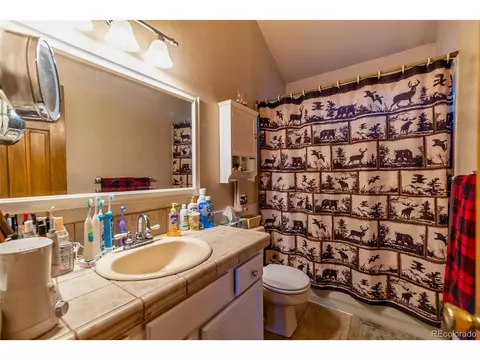 358 Beaver Trl, Bailey, CO 80421 photo 19
