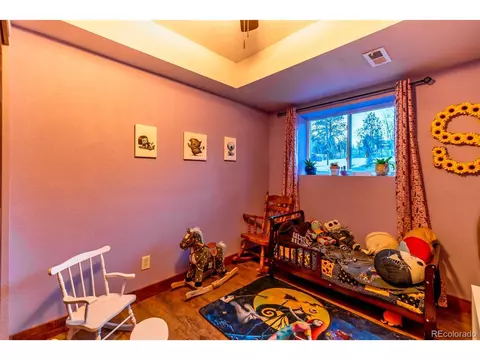 358 Beaver Trl, Bailey, CO 80421 photo 22