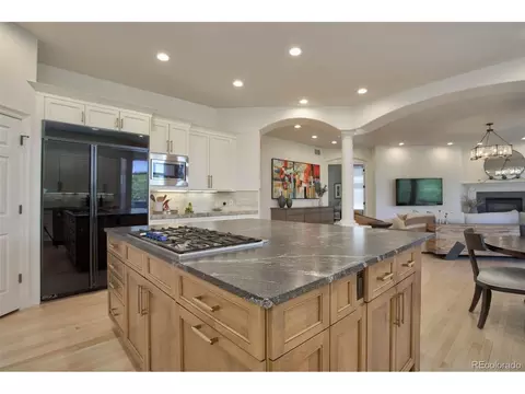 10039 Longview Dr, Lone Tree, CO 80124 photo 9