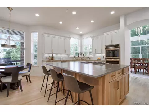10039 Longview Dr, Lone Tree, CO 80124 photo 11