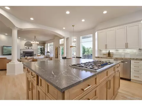 10039 Longview Dr, Lone Tree, CO 80124 photo 8