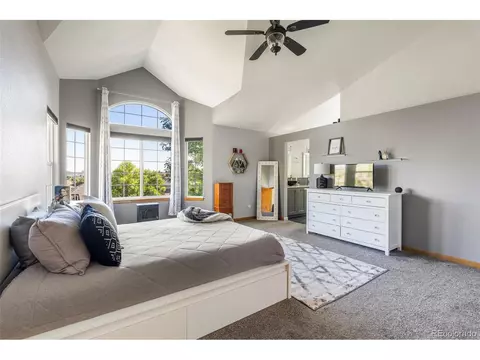 9634 Las Colinas Dr, Lone Tree, CO 80124 photo 19