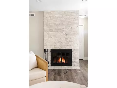 3025 Forest St, Denver, CO 80207 photo 7