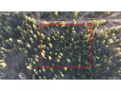 209 Hayes St, Bailey, CO 80421 photo 18