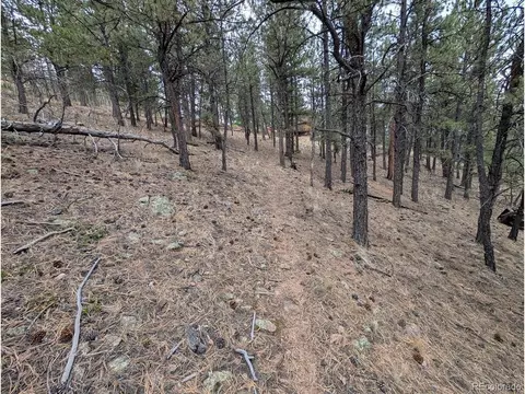 209 Hayes St, Bailey, CO 80421 photo 6