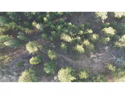 209 Hayes St, Bailey, CO 80421 photo 13