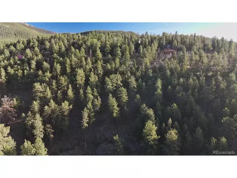 209 Hayes St, Bailey, CO 80421 photo 16
