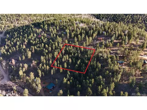 209 Hayes St, Bailey, CO 80421 photo 19