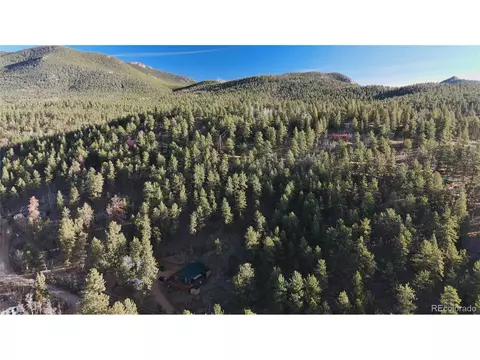 209 Hayes St, Bailey, CO 80421 photo 17