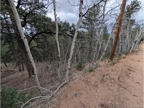 209 Hayes St, Bailey, CO 80421 photo 9
