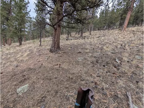 209 Hayes St, Bailey, CO 80421 photo 5