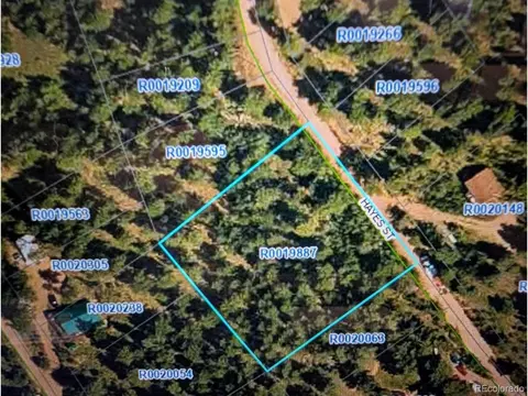 209 Hayes St, Bailey, CO 80421