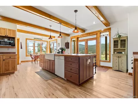 582 Buddy Rd, Bailey, CO 80421 photo 13