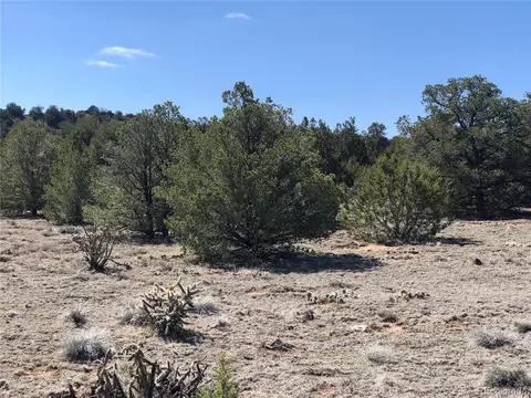 936 Rio Cucharas #3, Walsenburg, CO 81089 photo 16