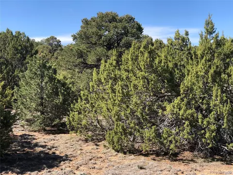 936 Rio Cucharas #3, Walsenburg, CO 81089 photo 7