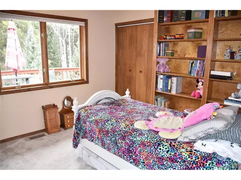 10469 Christopher Dr, Conifer, CO 80433 photo 10