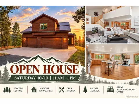 1363 Royal Ridge Dr, Bailey, CO 80421