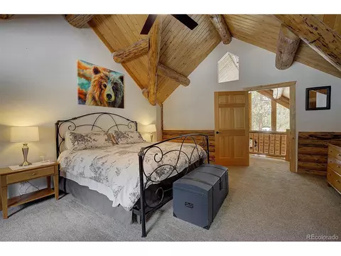 58 Conestoga Ct, Bailey, CO 80421 photo 14