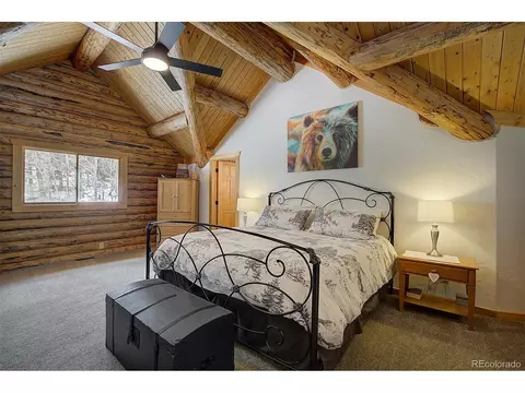 58 Conestoga Ct, Bailey, CO 80421 photo 13