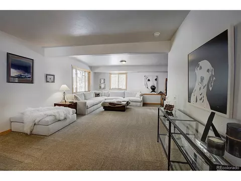 58 Conestoga Ct, Bailey, CO 80421 photo 28