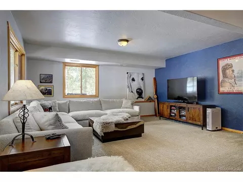 58 Conestoga Ct, Bailey, CO 80421 photo 30