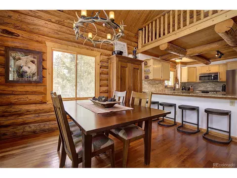 58 Conestoga Ct, Bailey, CO 80421 photo 7