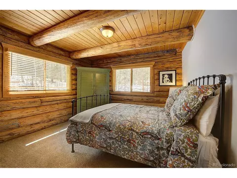 58 Conestoga Ct, Bailey, CO 80421 photo 23