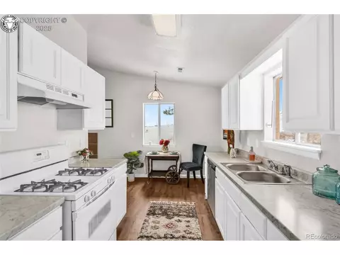 290 Cavalier Dr, Cotopaxi, CO 81223 photo 8