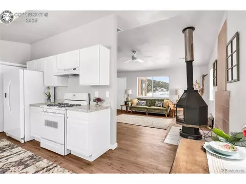290 Cavalier Dr, Cotopaxi, CO 81223 photo 11
