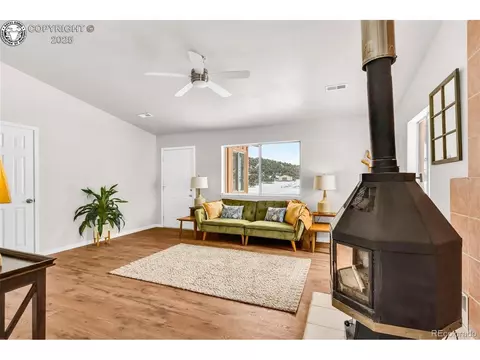 290 Cavalier Dr, Cotopaxi, CO 81223 photo 7
