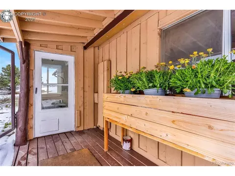 290 Cavalier Dr, Cotopaxi, CO 81223 photo 3