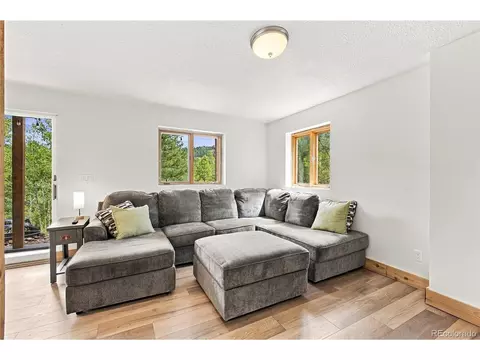 Other - 14988 S Wandcrest Dr, Pine, CO 80470 photo 4 of 7