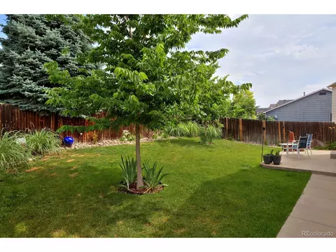 Exterior - 13441 Cherry St, Thornton, CO 80241 photo 7 of 10