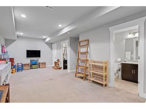 7933 E 49th Pl, Denver, CO 80238 photo 16