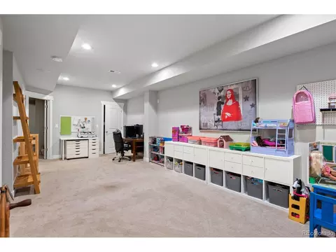 7933 E 49th Pl, Denver, CO 80238 photo 15