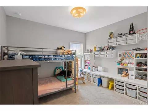 7933 E 49th Pl, Denver, CO 80238 photo 24