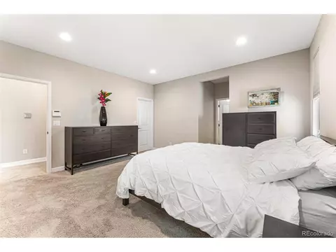 9076 E 37th Ave, Denver, CO 80238 photo 21