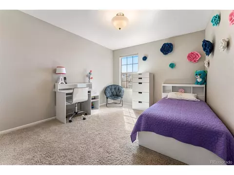 9076 E 37th Ave, Denver, CO 80238 photo 26
