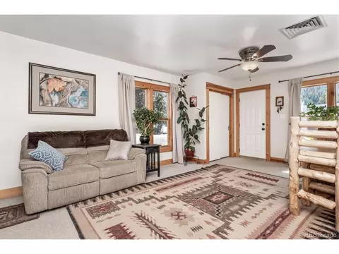 16684 County Road 126, Pine, CO 80470 photo 6