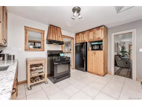 16684 County Road 126, Pine, CO 80470 photo 10