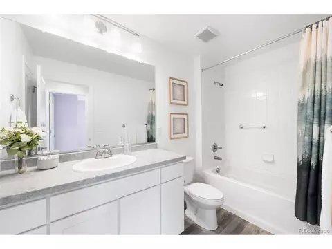8754 El Diente St, Arvada, CO 80007 photo 24