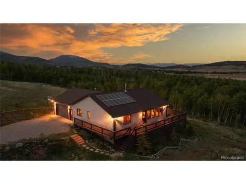 25 Skid Ct, Fairplay, CO 80440