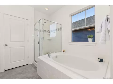 Bath - 8518 E 54th Pl, Denver, CO 80238 photo 3 of 5