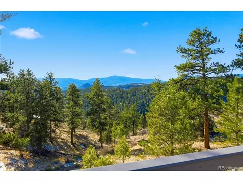 193 Long Ridge Dr, Bailey, CO 80421 photo 38