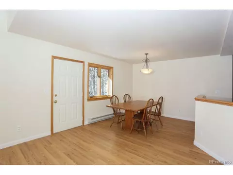 982 Coil Dr, Fairplay, CO 80440 photo 9