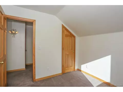 982 Coil Dr, Fairplay, CO 80440 photo 23