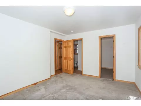 982 Coil Dr, Fairplay, CO 80440 photo 16