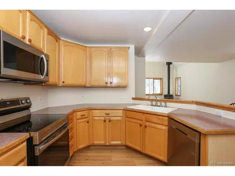 982 Coil Dr, Fairplay, CO 80440 photo 11