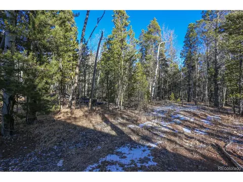 982 Coil Dr, Fairplay, CO 80440 photo 4