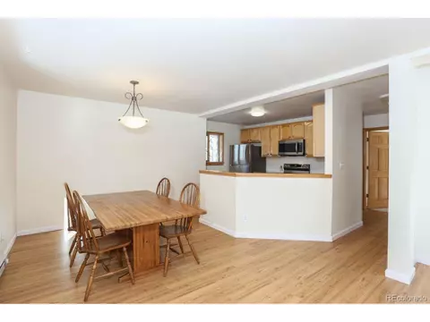 982 Coil Dr, Fairplay, CO 80440 photo 10